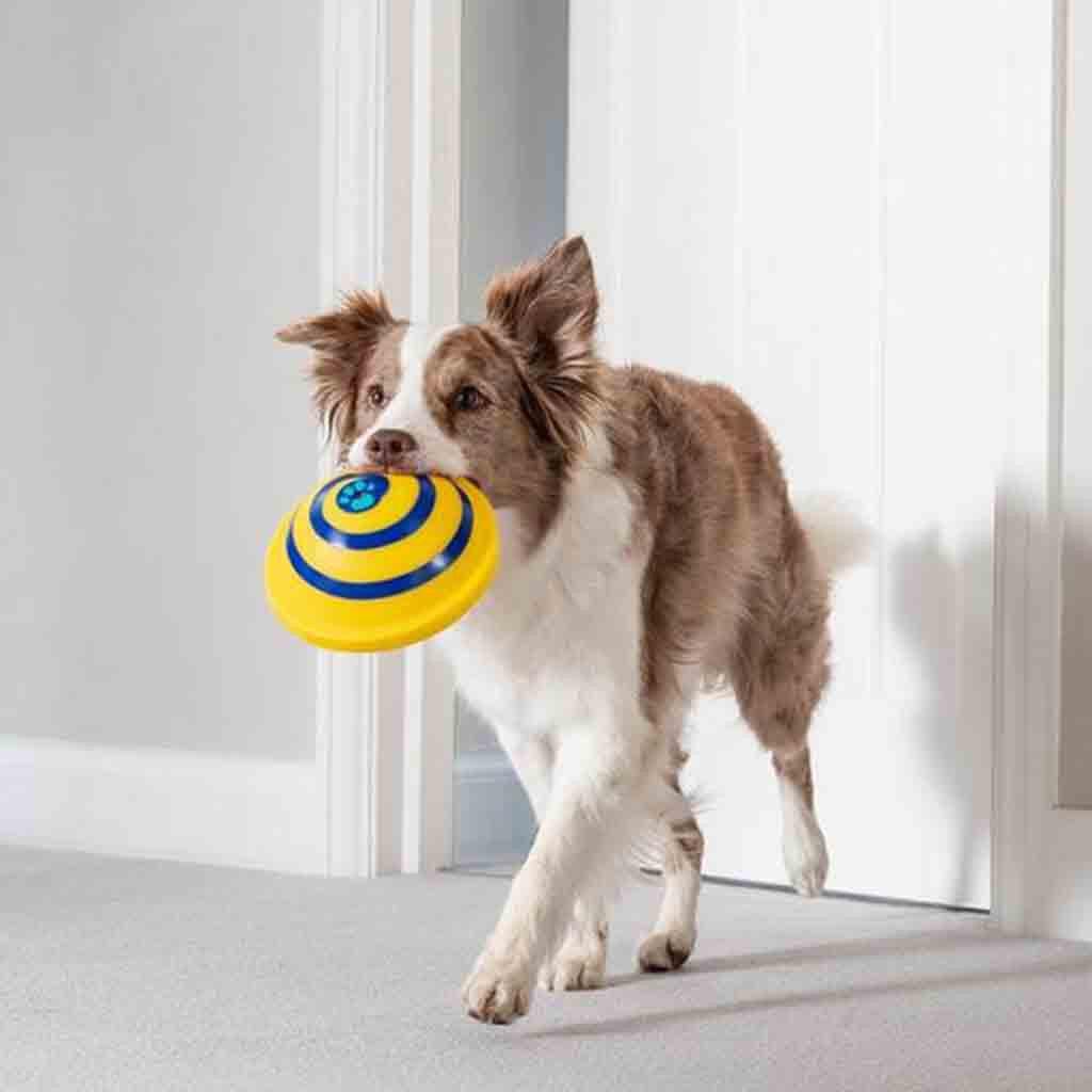 PawTunes Interactive Toy