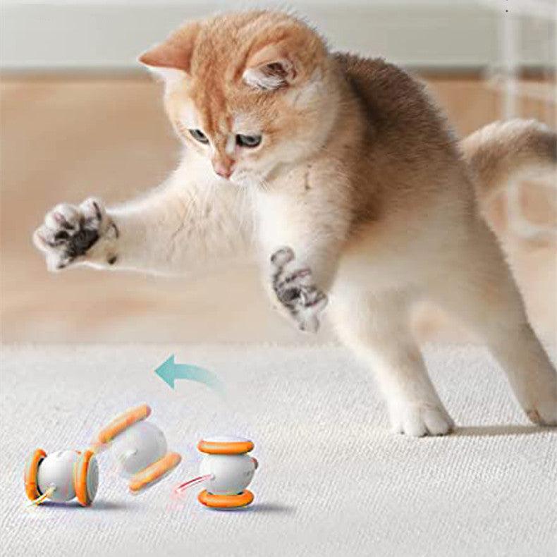 Electric Feline Fun: Interactive Teaser Toy