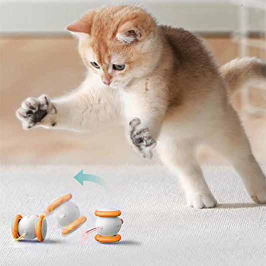 Electric Feline Fun: Interactive Teaser Toy