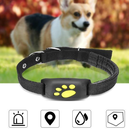 PetPulse (Pet TrackMaster) GPS Tracker