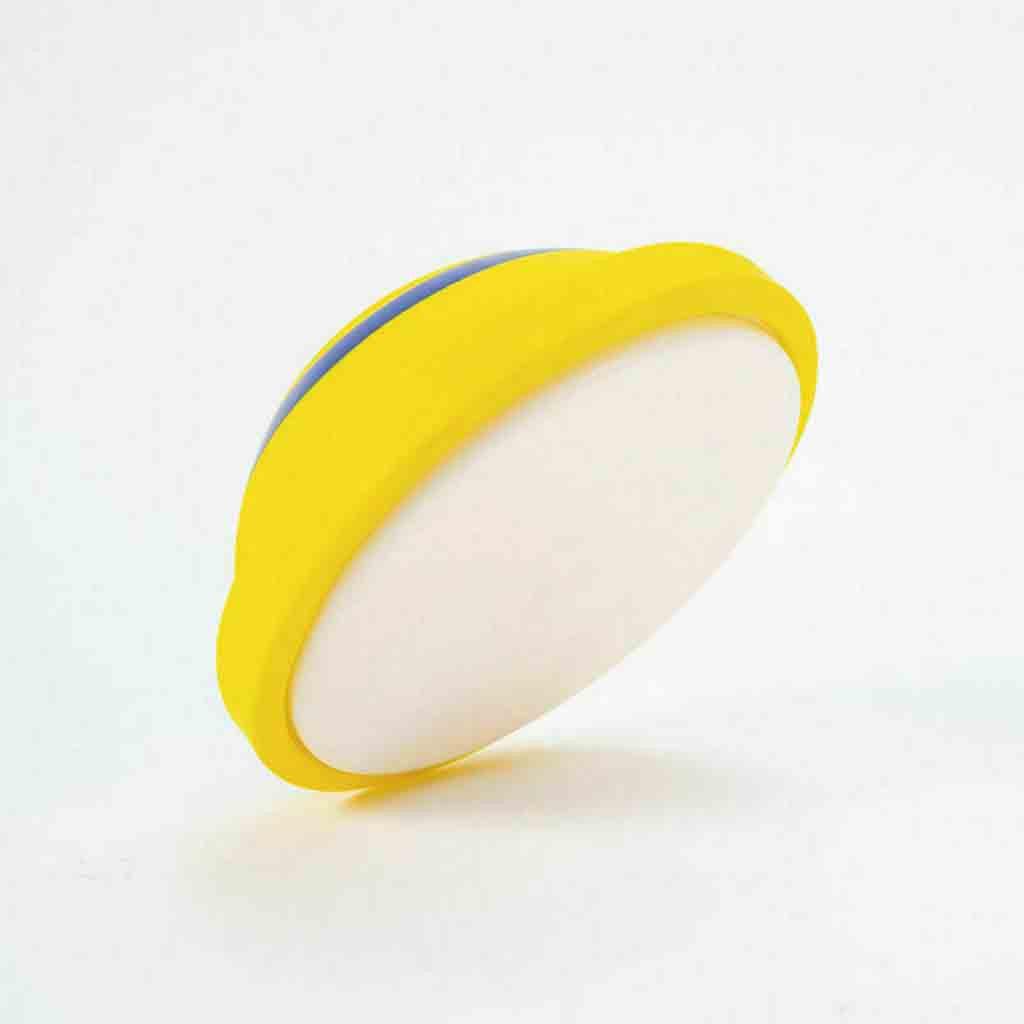 PawTunes Interactive Toy