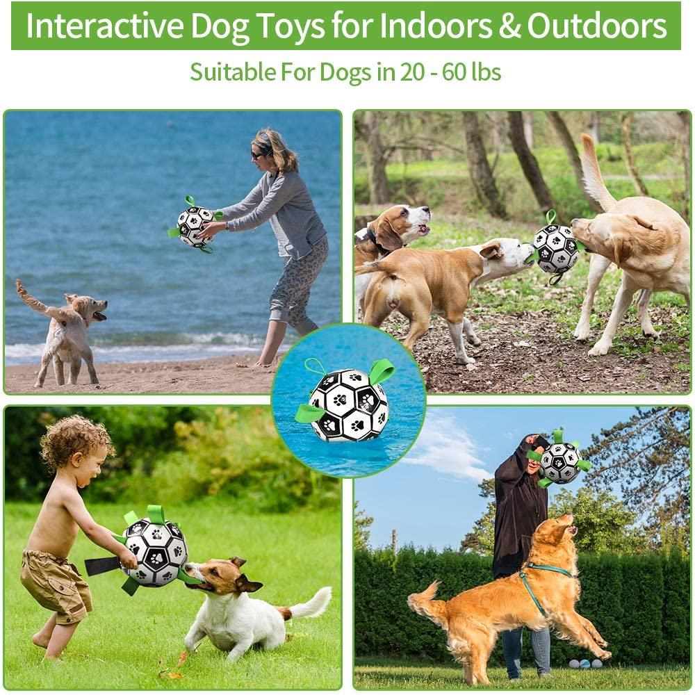 BarkBall Interactive Toy