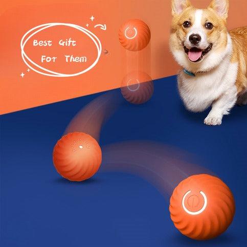 PawVibe Roller