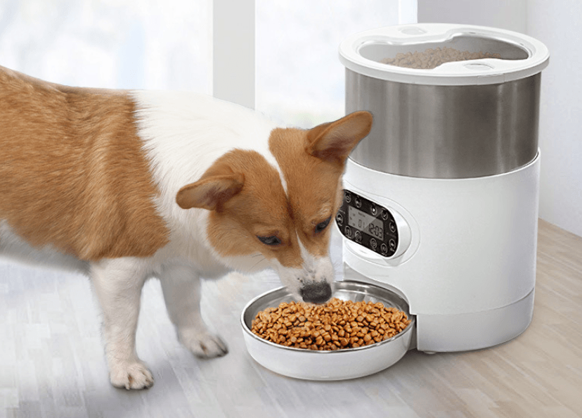 SmartFeed Remote Pet Dispenser