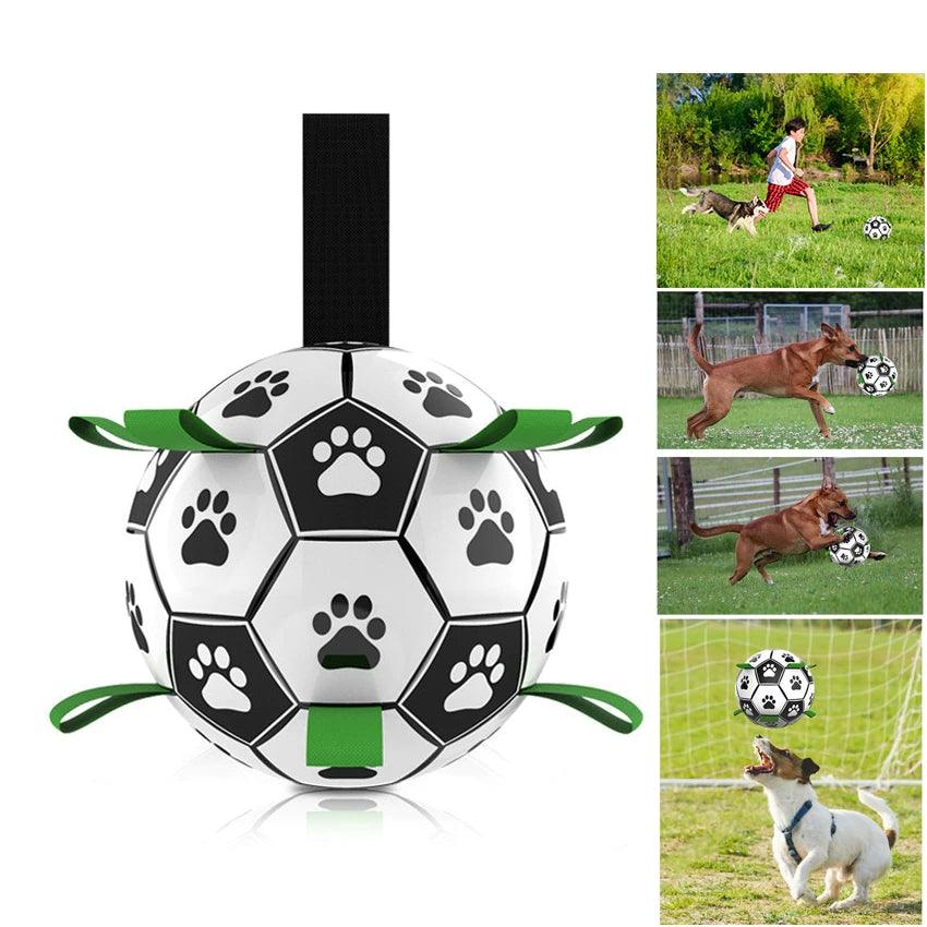 BarkBall Interactive Toy