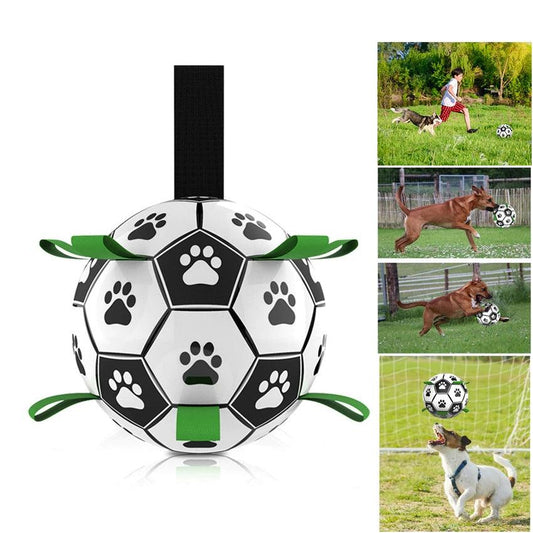 BarkBall Interactive Toy
